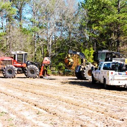 Site Preparation: Sheer and Raking Land Clearing
