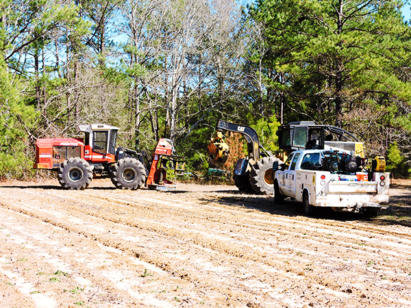 Site Preparation: Sheer and Raking Land Clearing